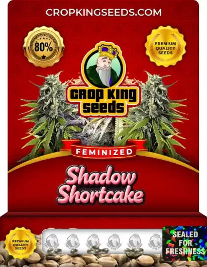 shadow-shortcake-image