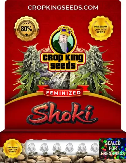 shoki-image