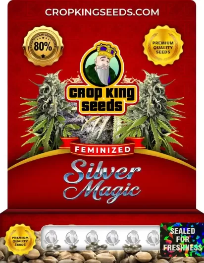 silver-magic-image