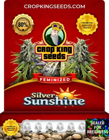 silver-sunshine-image