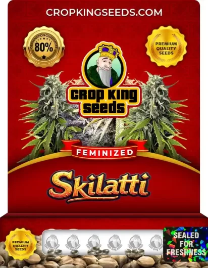 skilatti-image