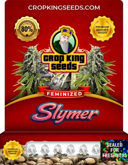 Slymer