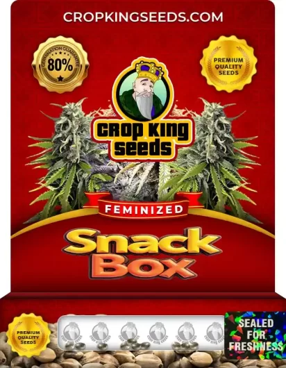 Snack Box