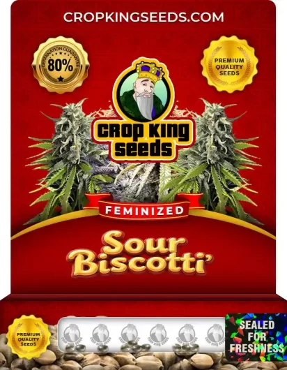 Sour Biscotti