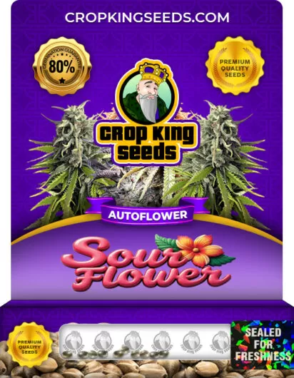 Sour Flower Autoflower