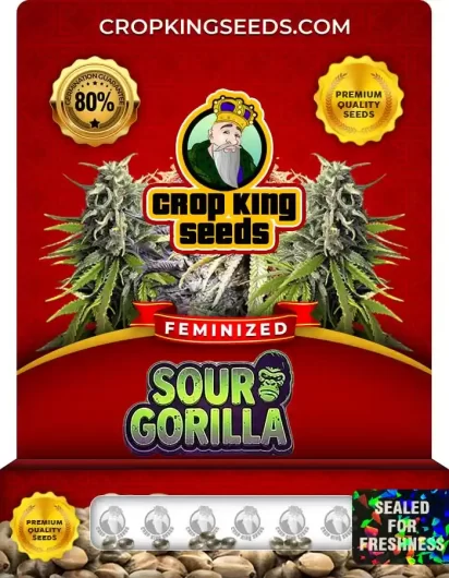 sour-gorilla-image