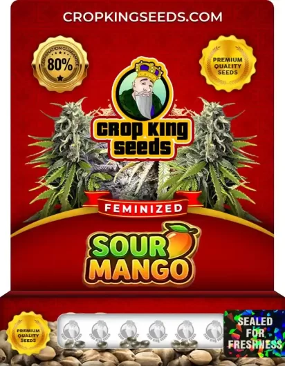 sour-mango-image