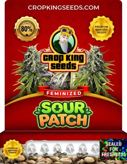 sour-patch-image