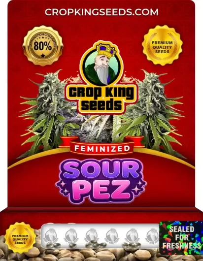 sour-pez-image