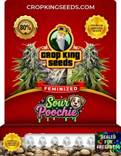 sour-poochie-image