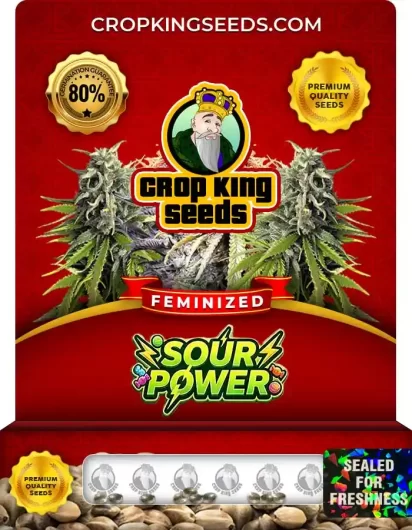 sour-power-image