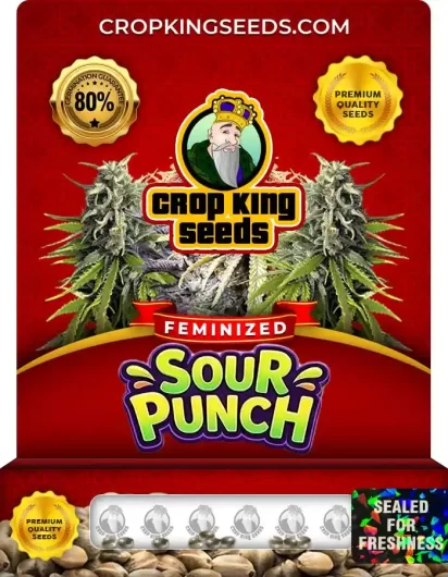 sour-punch-image