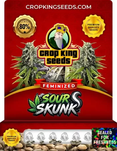 sour-skunk-image