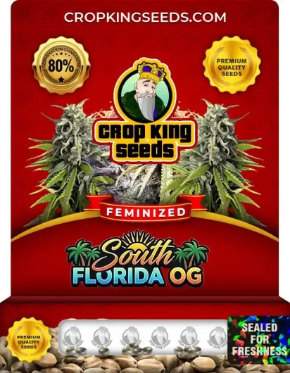 south-florida-og-image