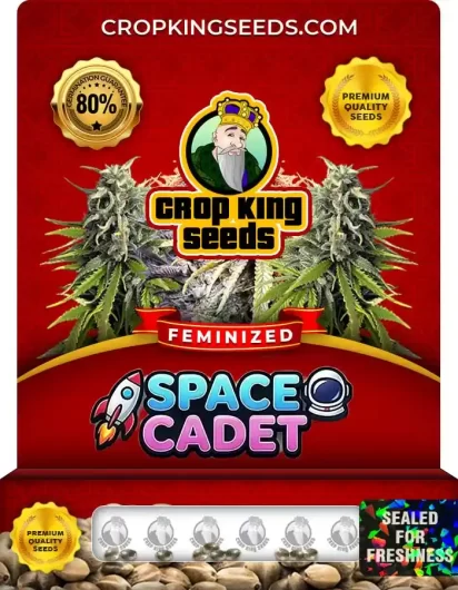 space-cadet-image