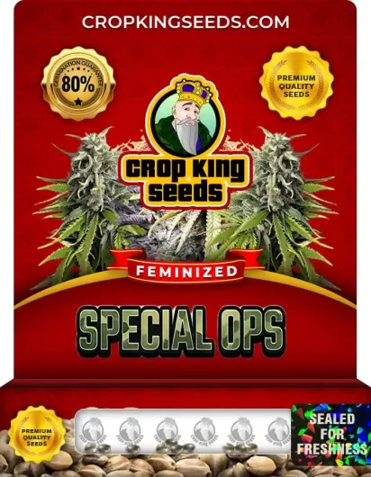 Special Ops