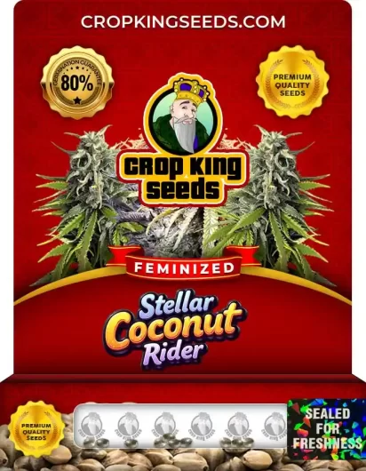 stellar-coconut-rider-image