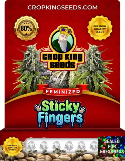 sticky-fingers-image