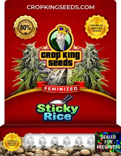 sticky-rice-image