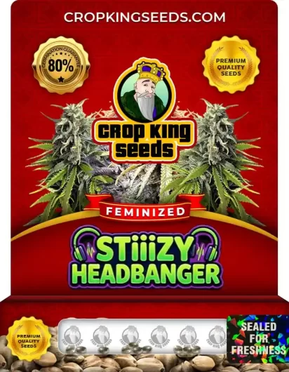 stiizy-headbanger-image