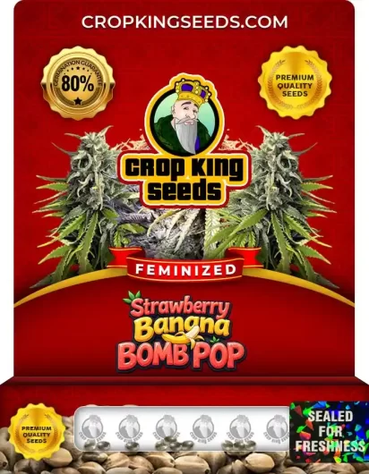 strawberry-banana-bomb-pop-image