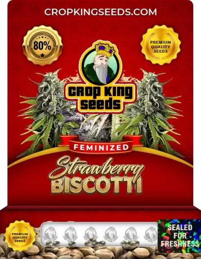 strawberry-biscotti-image