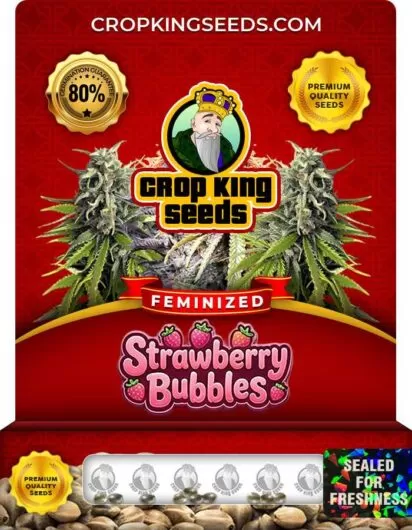strawberry-bubbles-image