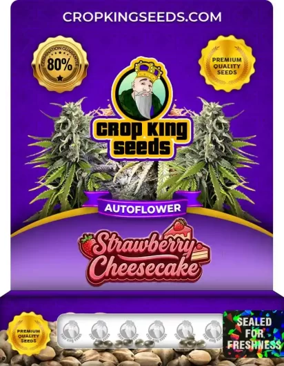 strawberry-cheesecake-autoflower-image