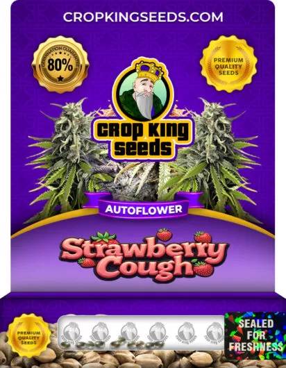 strawberry-cough-autoflower-image