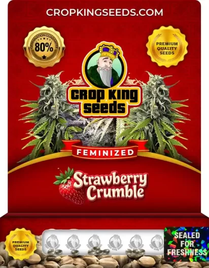 strawberry-crumble-image