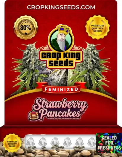 strawberry-pancakes-image