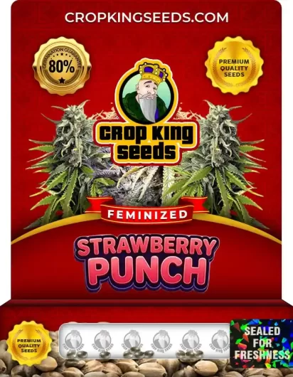 strawberry-punch-image