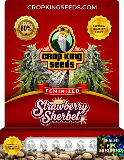 strawberry-sherbet-image