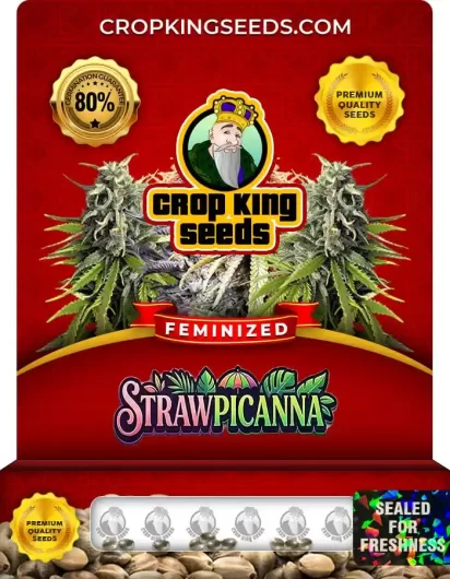 strawpicanna-image