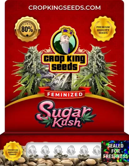 sugar-kush-image