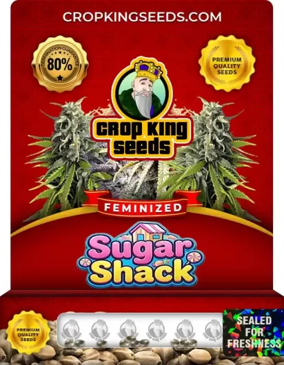 sugar-shack-image