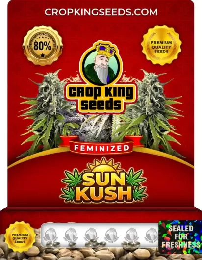 sun-kush-image