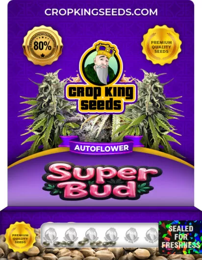 super-bud-autoflower-image