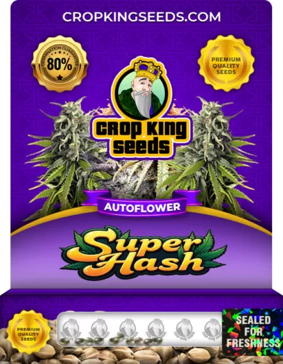 super-hash-autoflower-image