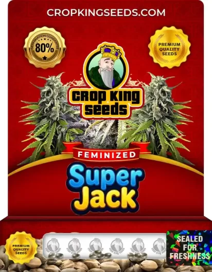 super-jack-image