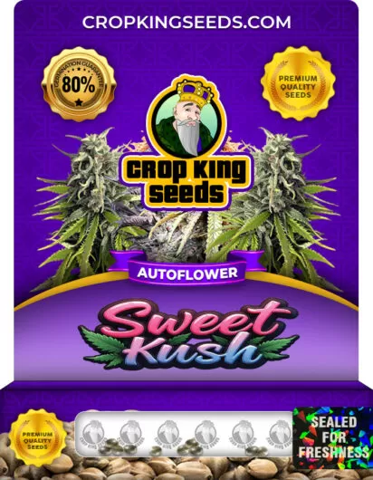 sweet-kush-autoflower-image