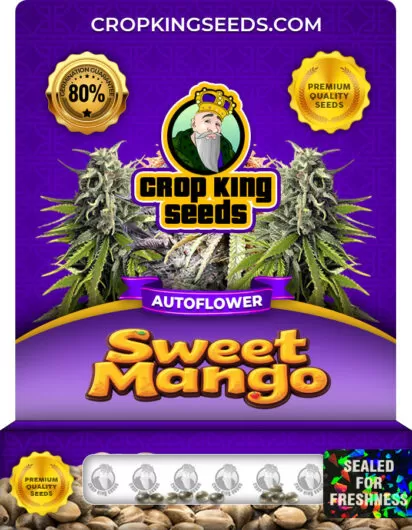 sweet-mango-autoflower-image