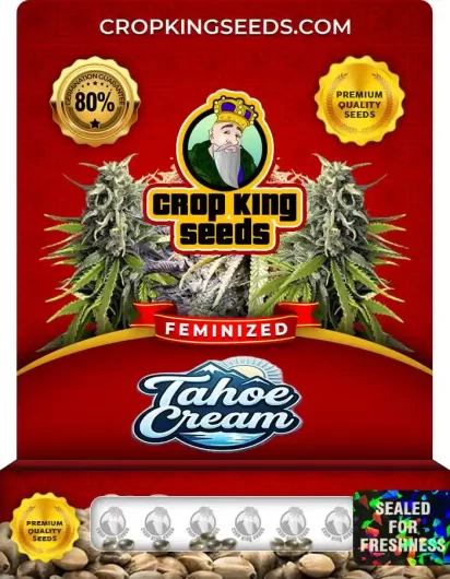 tahoe-cream-image