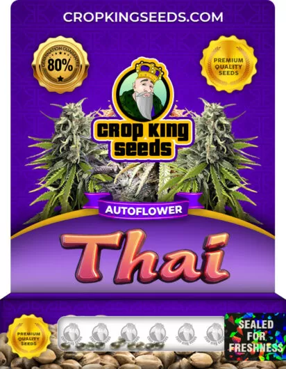 thai-autoflower-image