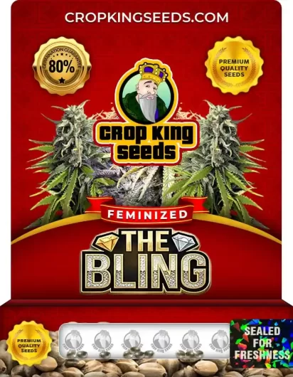 the-bling-image