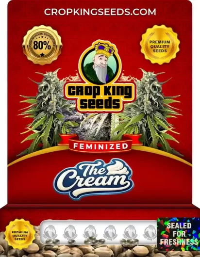 the-cream-image