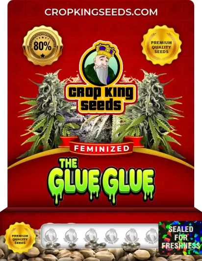 the-glue-glue-image