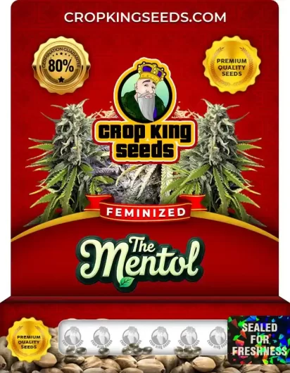 the-menthol-image