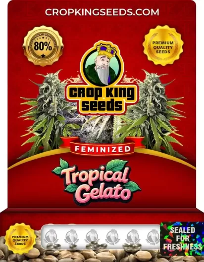 Tropical Gelato