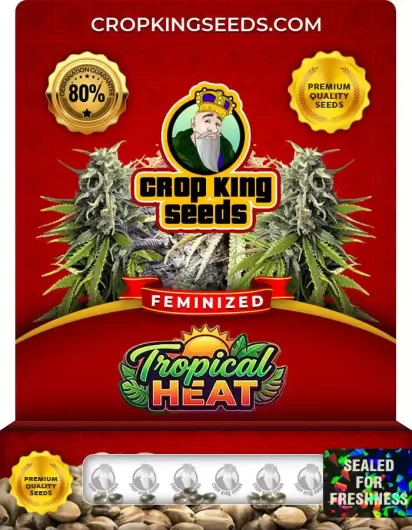 tropical-heat-image